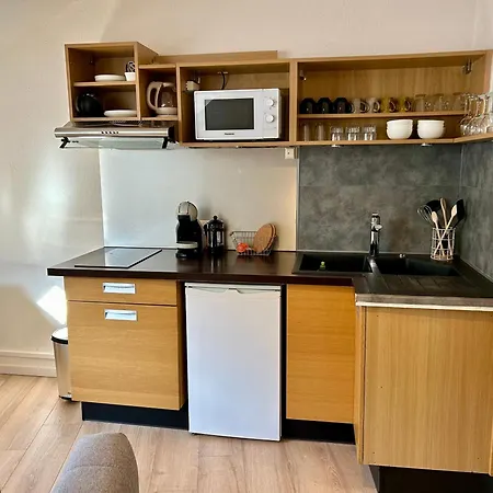 Douce Agathe - Duo-groupe, Chaleureux, Tram 200m, Centre 10min Appartement