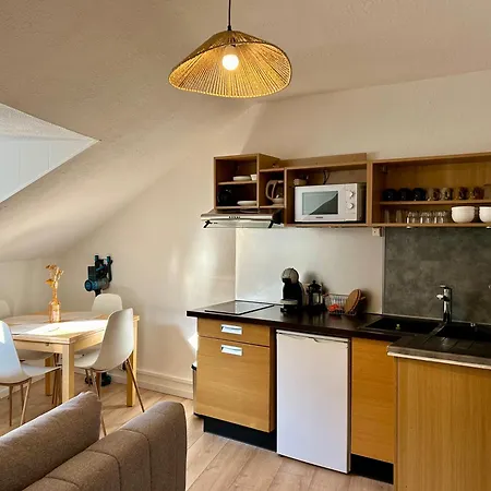 Douce Agathe - Duo-groupe, Chaleureux, Tram 200m, Centre 10min Straatsburg