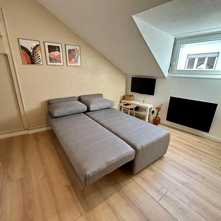 Douce Agathe - Duo-groupe, Chaleureux, Tram 200m, Centre 10min Apartamento *