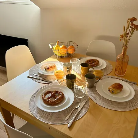 Douce Agathe - Duo-groupe, Chaleureux, Tram 200m, Centre 10min Apartamento *